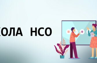 Школа НСО